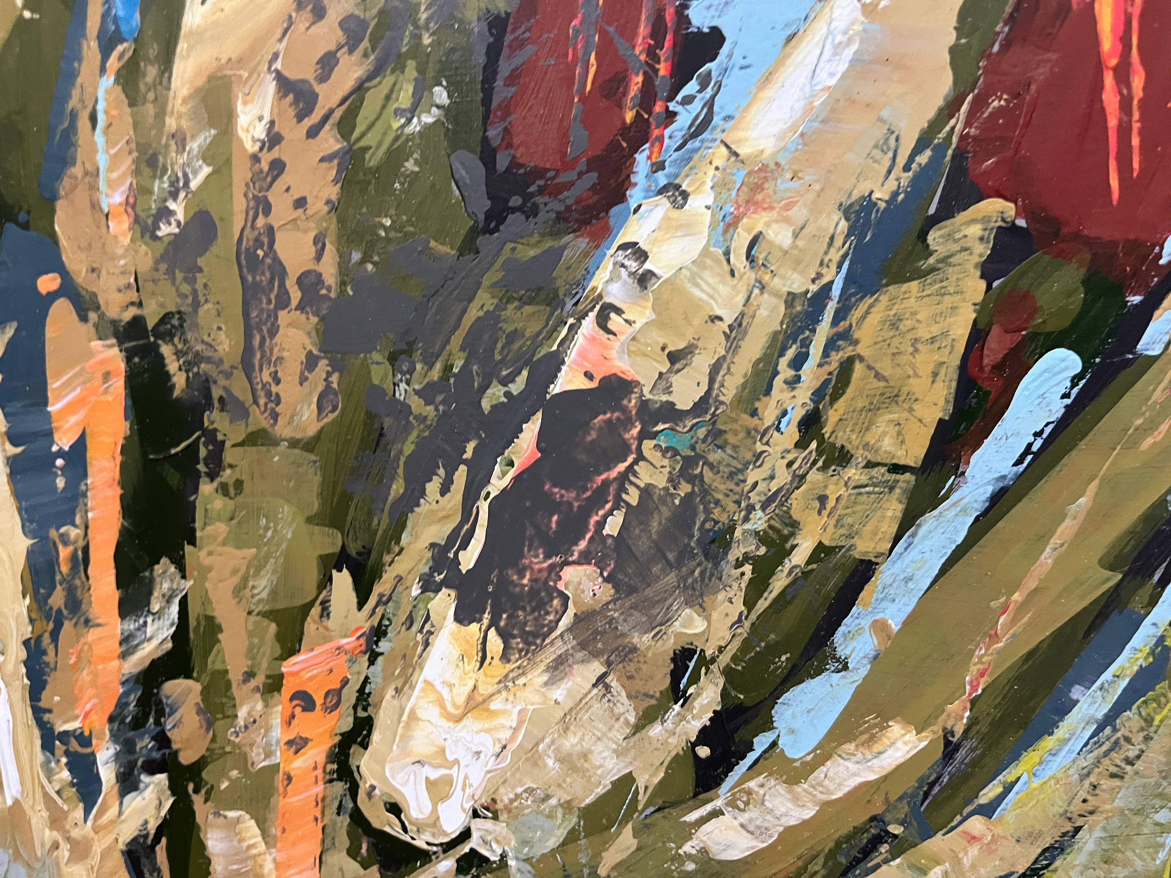 Soldiers of the Karoo