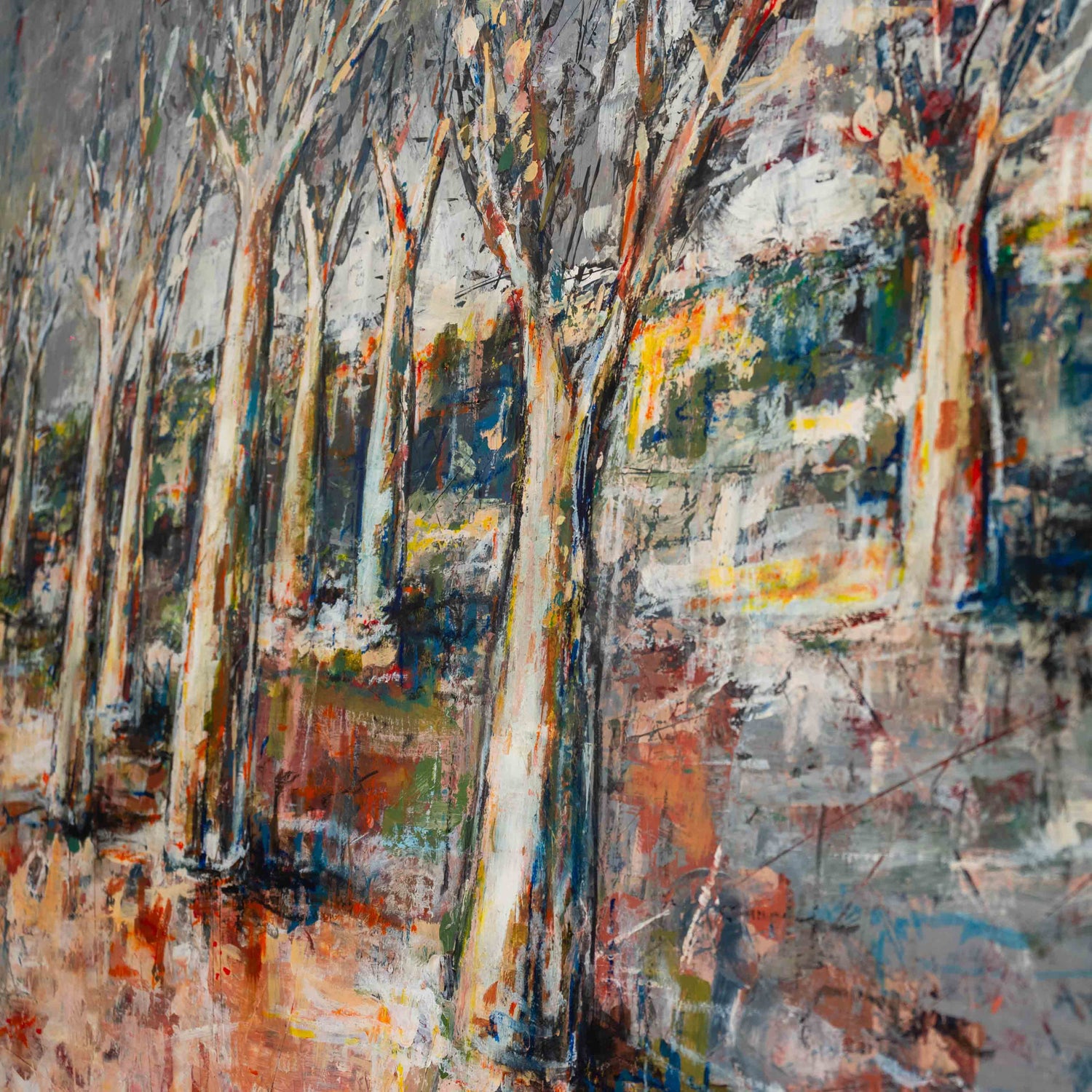 Voices of the Baobabs